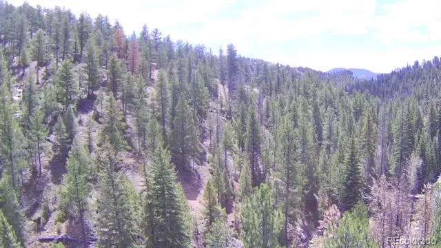 15751 S Elk Creek Road S Pine, CO 80470