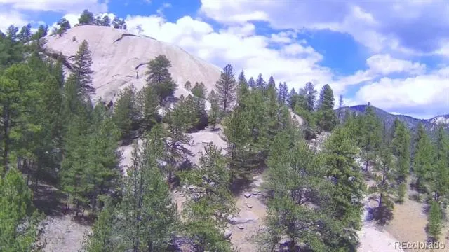 15751 S Elk Creek Road S Pine, CO 80470