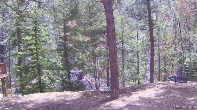 15751 S Elk Creek Road S Pine, CO 80470