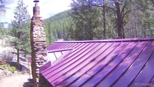 15751 S Elk Creek Road S Pine, CO 80470