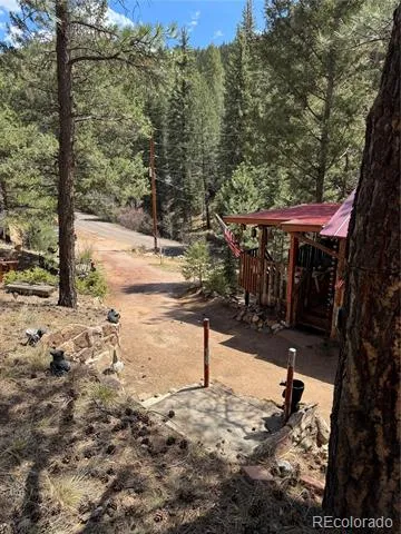 15751 S Elk Creek Road S Pine, CO 80470
