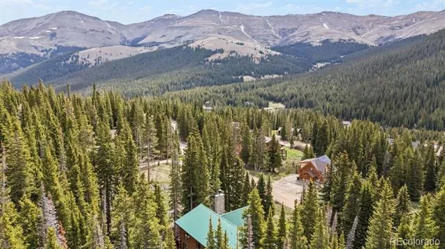 229 Lee Lane Breckenridge, CO 80424