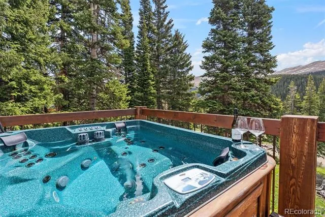 229 Lee Lane Breckenridge, CO 80424