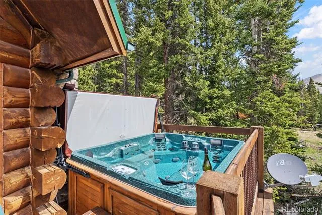 229 Lee Lane Breckenridge, CO 80424