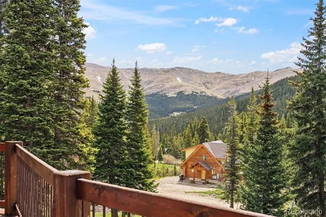 229 Lee Lane Breckenridge, CO 80424