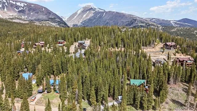 229 Lee Lane Breckenridge, CO 80424