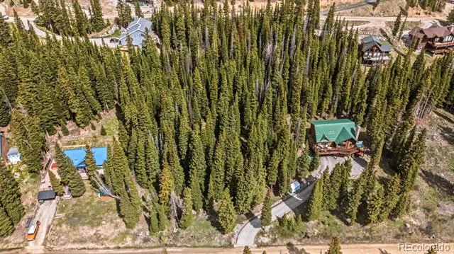 229 Lee Lane Breckenridge, CO 80424