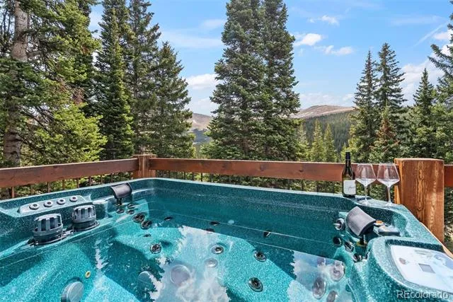 229 Lee Lane Breckenridge, CO 80424