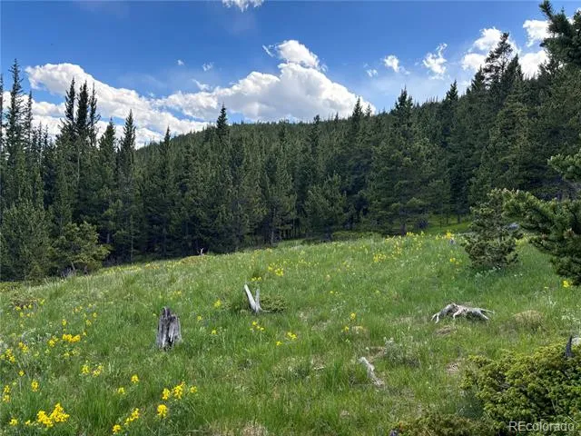 Hilltop Road Idaho Springs, CO 80452