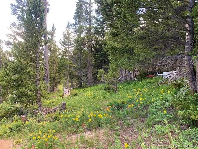 Hilltop Road Idaho Springs, CO 80452