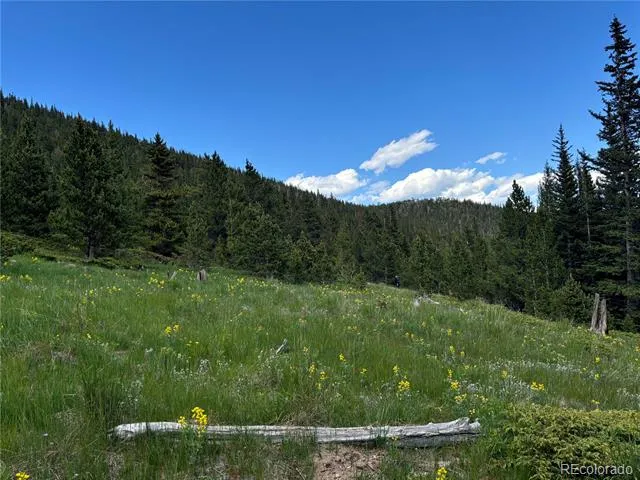 Hilltop Road Idaho Springs, CO 80452