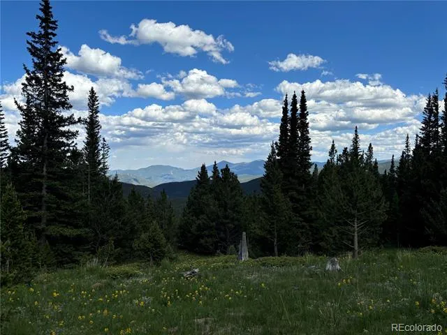 Hilltop Road Idaho Springs, CO 80452