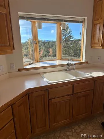 12880 County Road 261b Nathrop, CO 81236