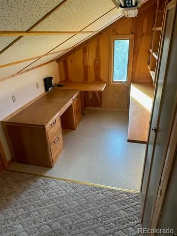 12880 County Road 261b Nathrop, CO 81236