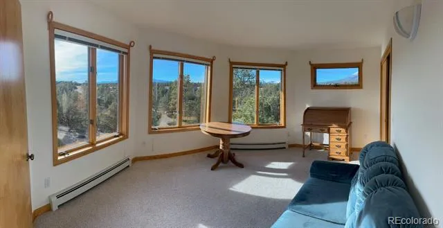 12880 County Road 261b Nathrop, CO 81236