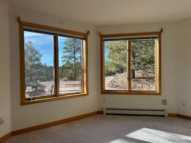 12880 County Road 261b Nathrop, CO 81236