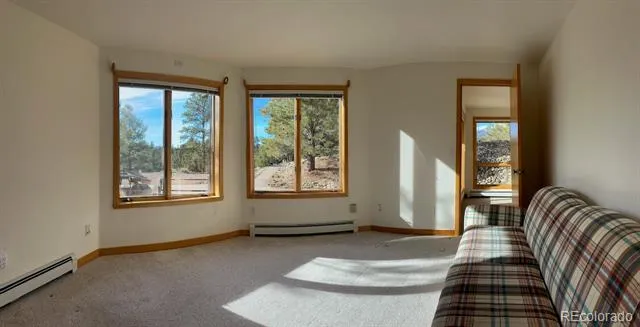 12880 County Road 261b Nathrop, CO 81236