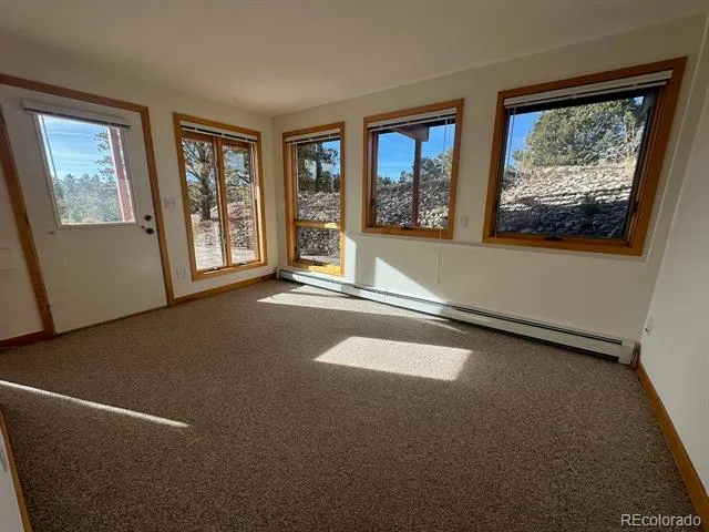 12880 County Road 261b Nathrop, CO 81236