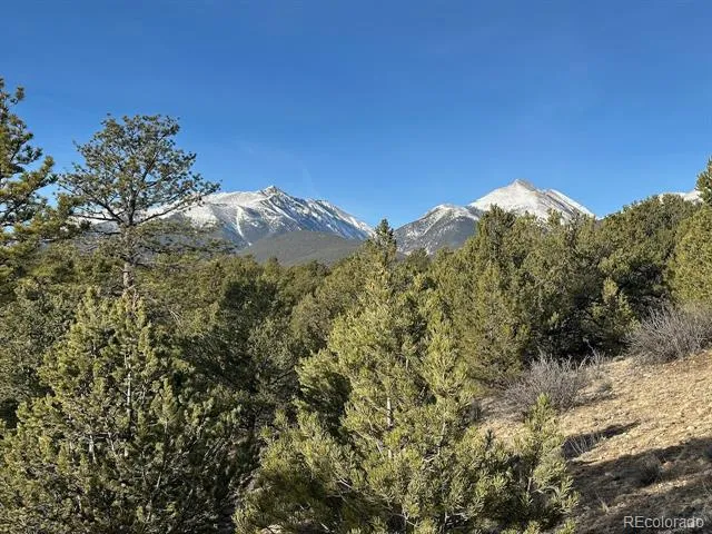 12880 County Road 261b Nathrop, CO 81236