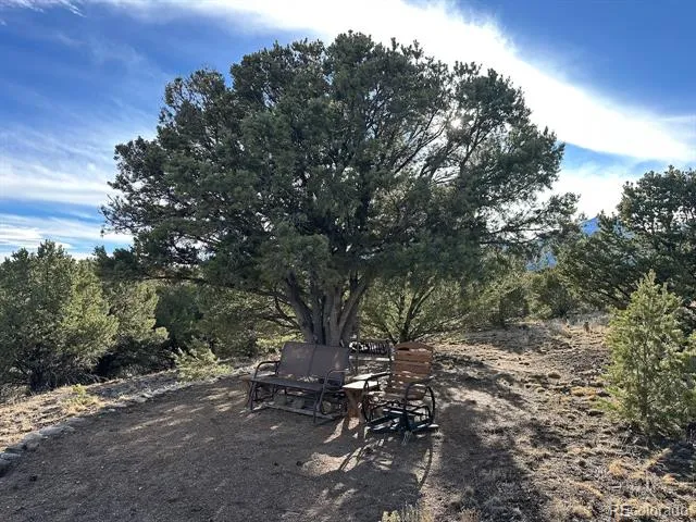 12880 County Road 261b Nathrop, CO 81236