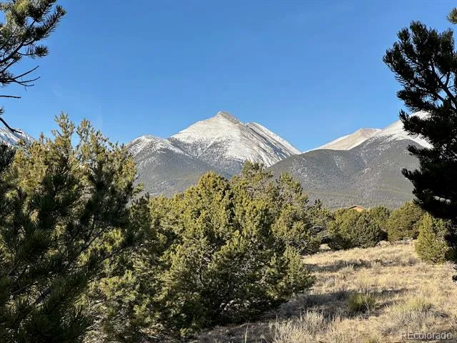 12880 County Road 261b Nathrop, CO 81236