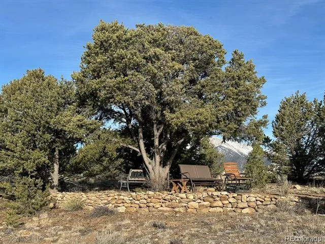 12880 County Road 261b Nathrop, CO 81236