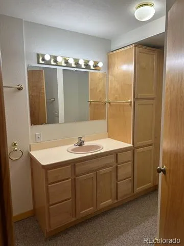 12880 County Road 261b Nathrop, CO 81236