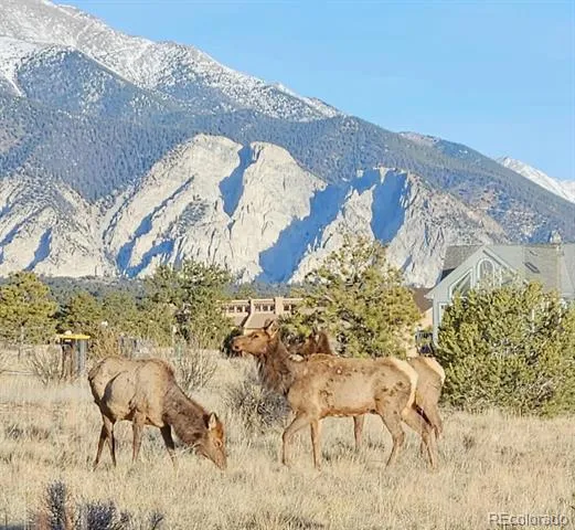 12880 County Road 261b Nathrop, CO 81236