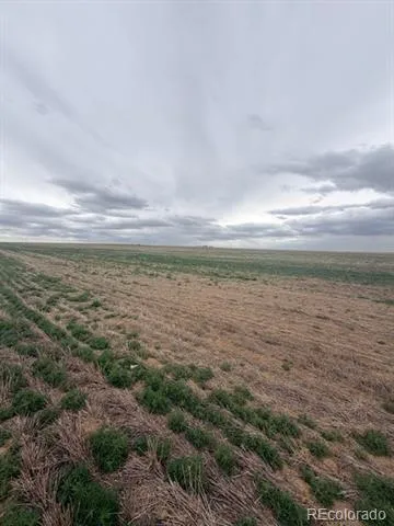 WCR 81 and Co Rd 8 Roggen, CO 80652