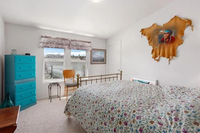 13786 Schoger Road Nathrop, CO 81236