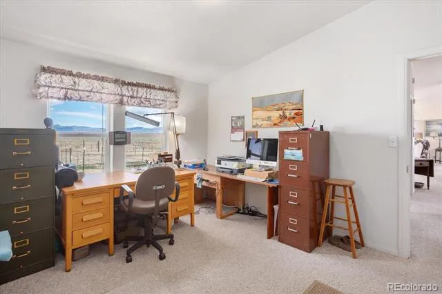 13786 Schoger Road Nathrop, CO 81236