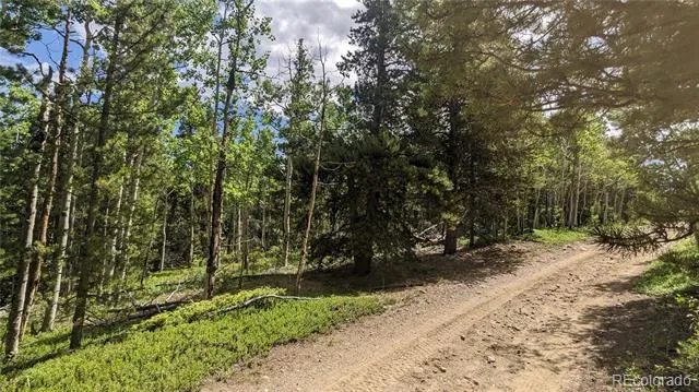 TBD Roy Smith Road Central City, CO 80427