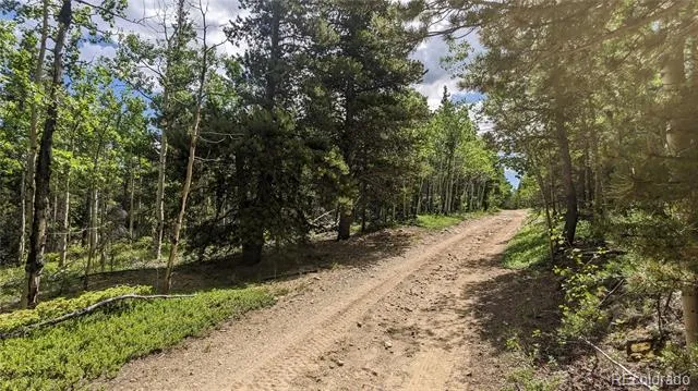 TBD Roy Smith Road Central City, CO 80427
