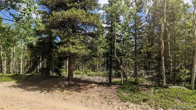 TBD Roy Smith Road Central City, CO 80427