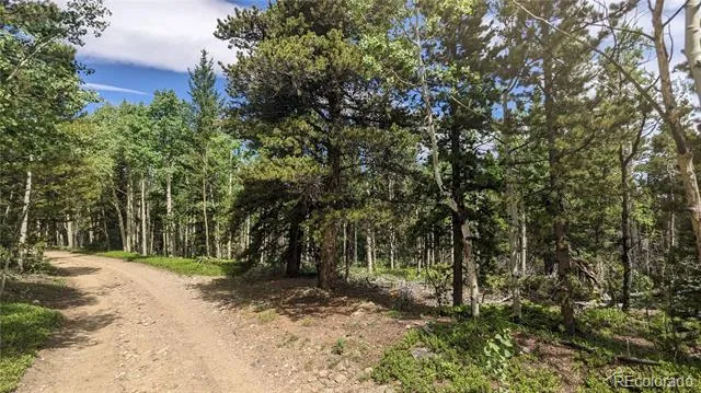 TBD Roy Smith Road Central City, CO 80427