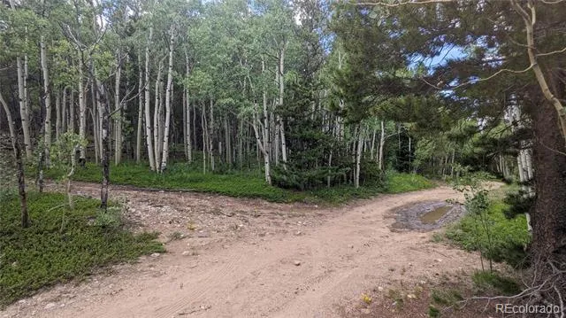 TBD Roy Smith Road Central City, CO 80427