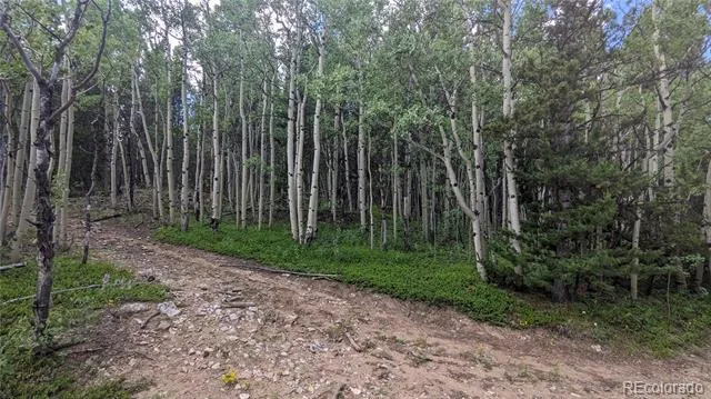 TBD Roy Smith Road Central City, CO 80427
