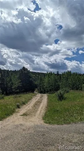 TBD Roy Smith Road Central City, CO 80427