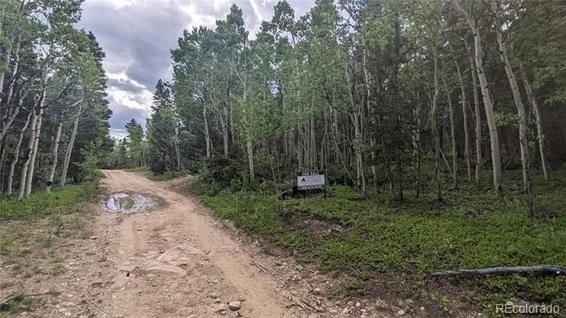 TBD Roy Smith Road Central City, CO 80427