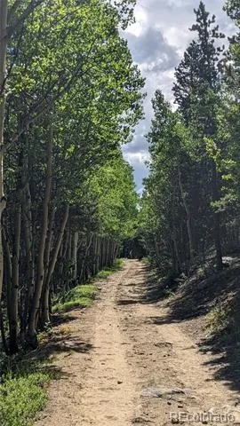 TBD Roy Smith Road Central City, CO 80427