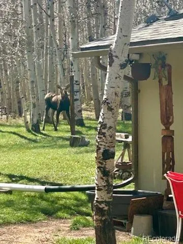 1746 Lump Gulch Road Black Hawk, CO 80422