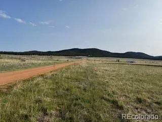 464 Burroback Court Cotopaxi, CO 81223