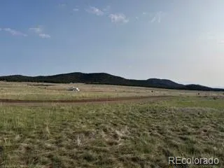 464 Burroback Court Cotopaxi, CO 81223