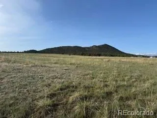 464 Burroback Court Cotopaxi, CO 81223