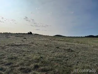 464 Burroback Court Cotopaxi, CO 81223