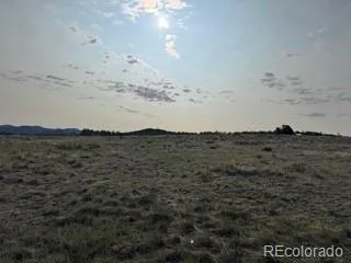 464 Burroback Court Cotopaxi, CO 81223