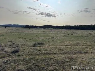 464 Burroback Court Cotopaxi, CO 81223