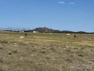 464 Burroback Court Cotopaxi, CO 81223