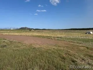 464 Burroback Court Cotopaxi, CO 81223