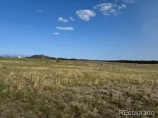 464 Burroback Court Cotopaxi, CO 81223